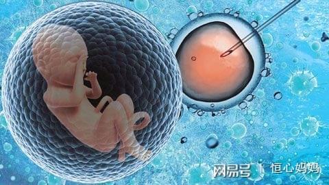 严重少弱精
